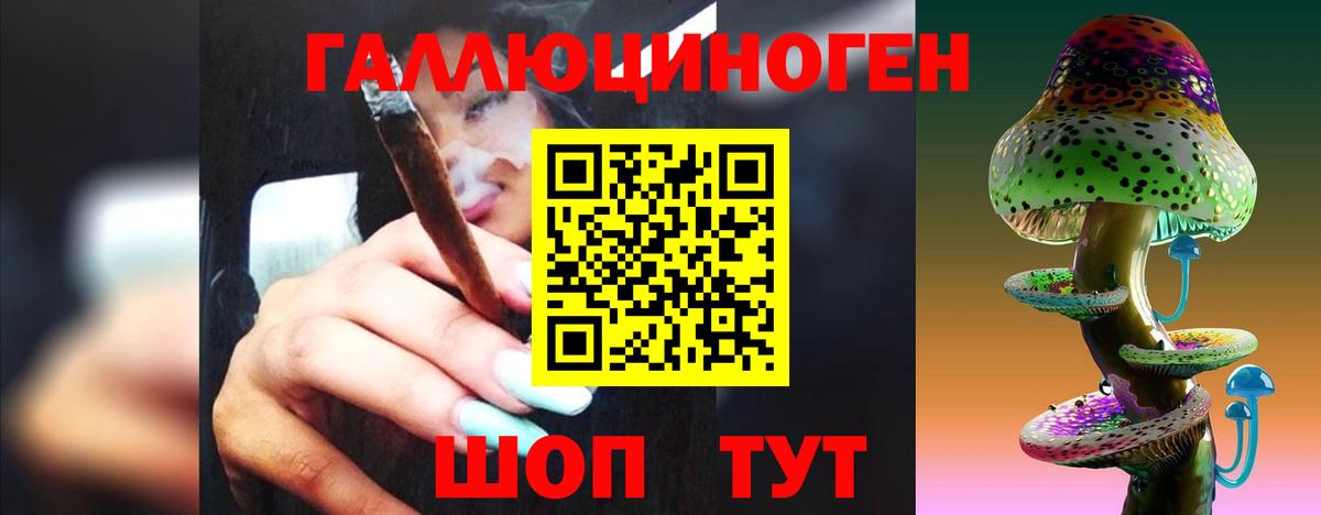 Пугачёв  Псилоцибиновые грибы Psilocybine cubensis  где купить   Вход с VPN 